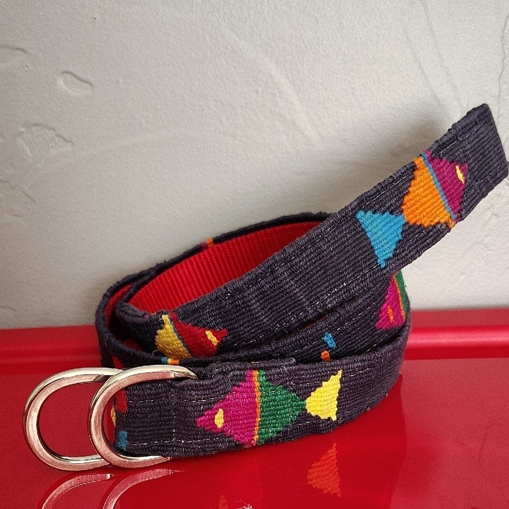 A Tail We Could Wag Multicolor Embroidered Belt Adjustable